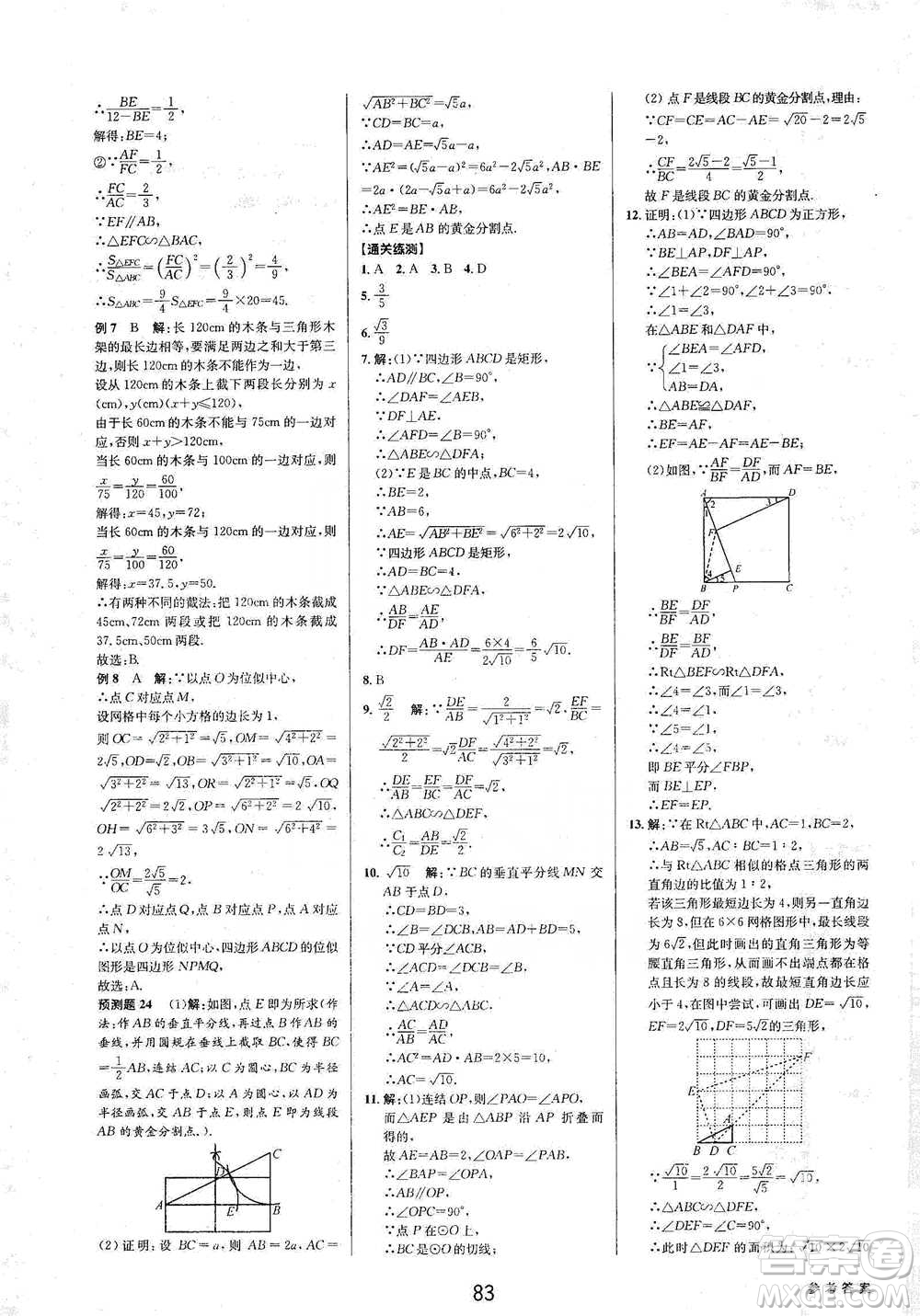 天津科學(xué)技術(shù)出版社2021初中新學(xué)案優(yōu)化與提高數(shù)學(xué)中考總復(fù)習(xí)參考答案