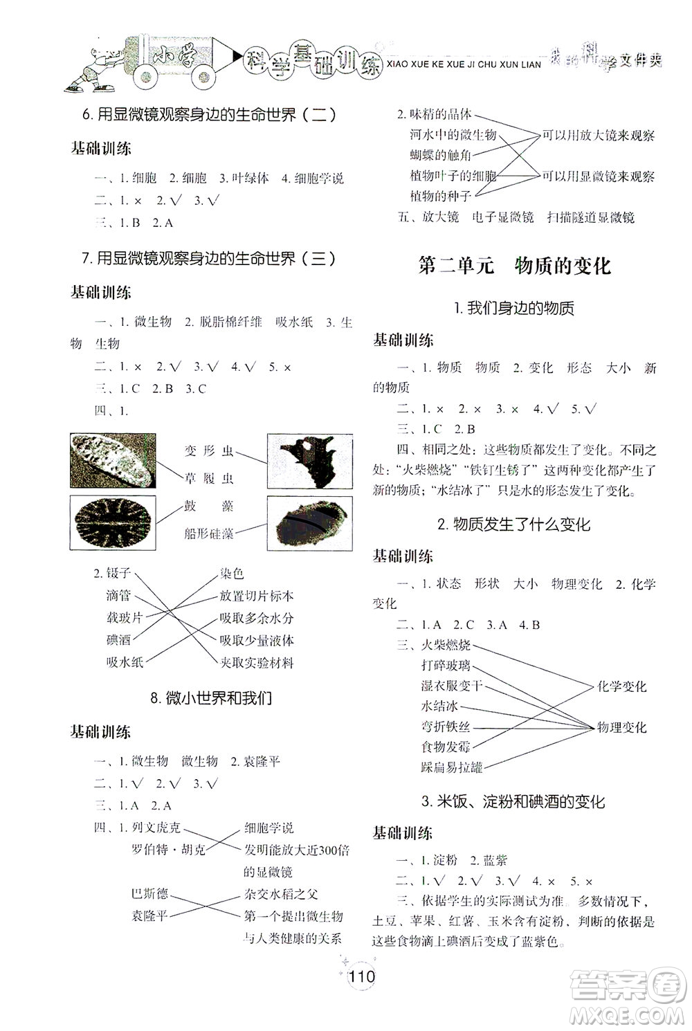 山東教育出版社2021小學(xué)基礎(chǔ)訓(xùn)練六年級科學(xué)下冊教科版答案