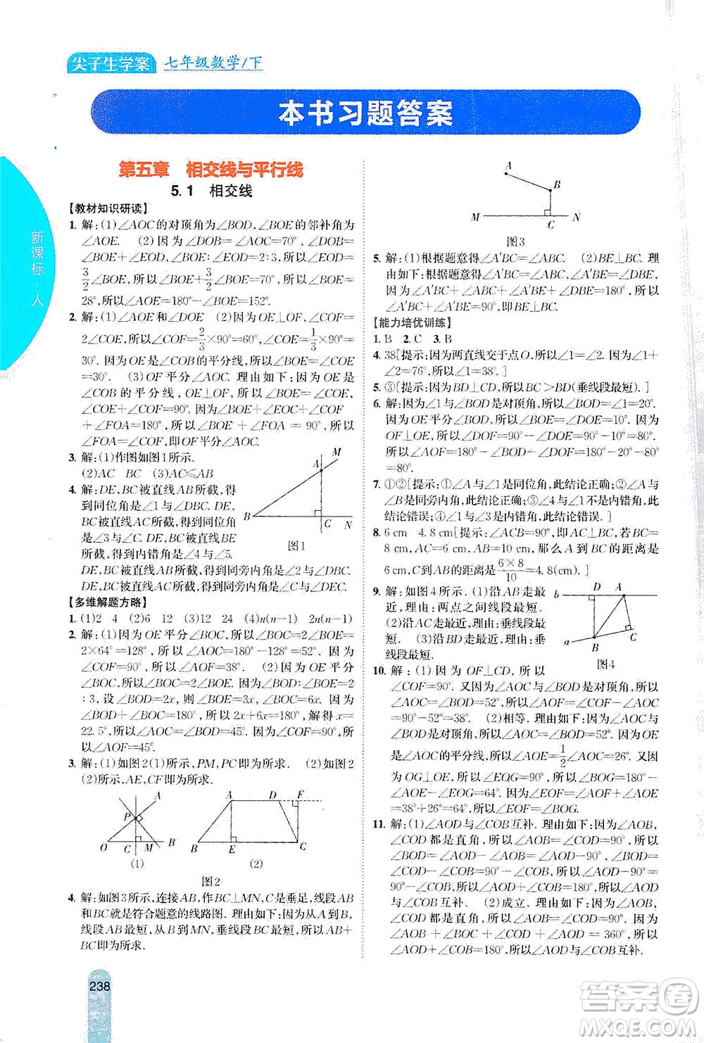 吉林人民出版社2021尖子生學(xué)案數(shù)學(xué)七年級下新課標(biāo)人教版答案