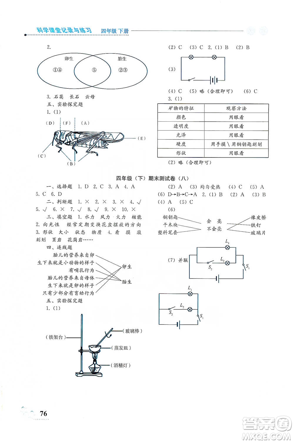 湖南科學技術出版社2021課堂記錄與練習四年級下冊科學參考答案
