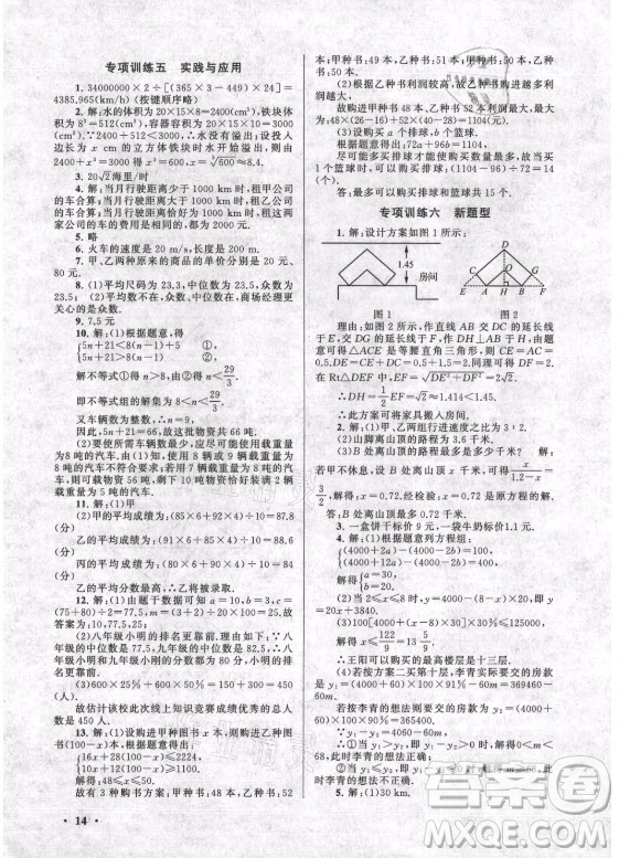 安徽人民出版社2022暑假大串聯(lián)數(shù)學八年級北京師范教材適用答案