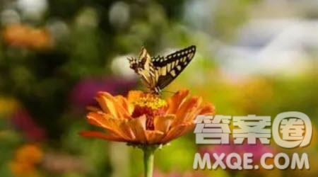 我與朋友的對話作文600字 關于我與朋友的對話的作文600字