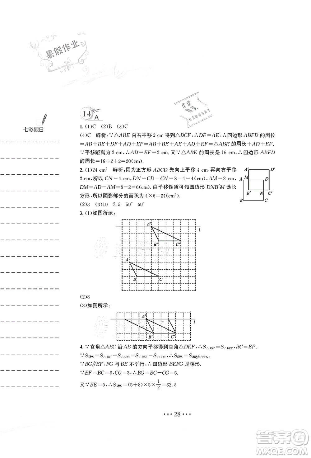 安徽教育出版社2021暑假作業(yè)七年級數(shù)學S通用版答案
