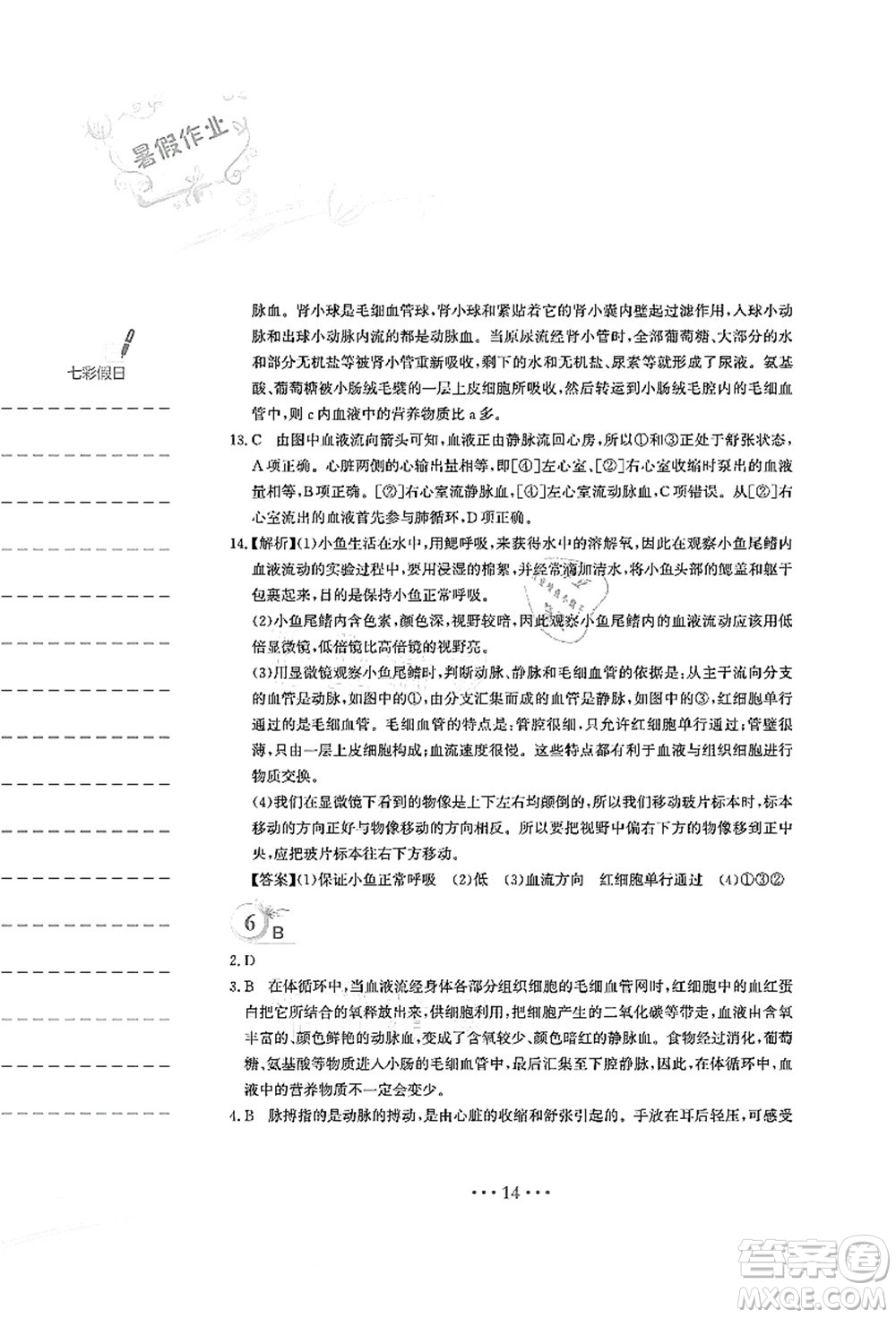 安徽教育出版社2021暑假作業(yè)七年級(jí)生物人教版答案