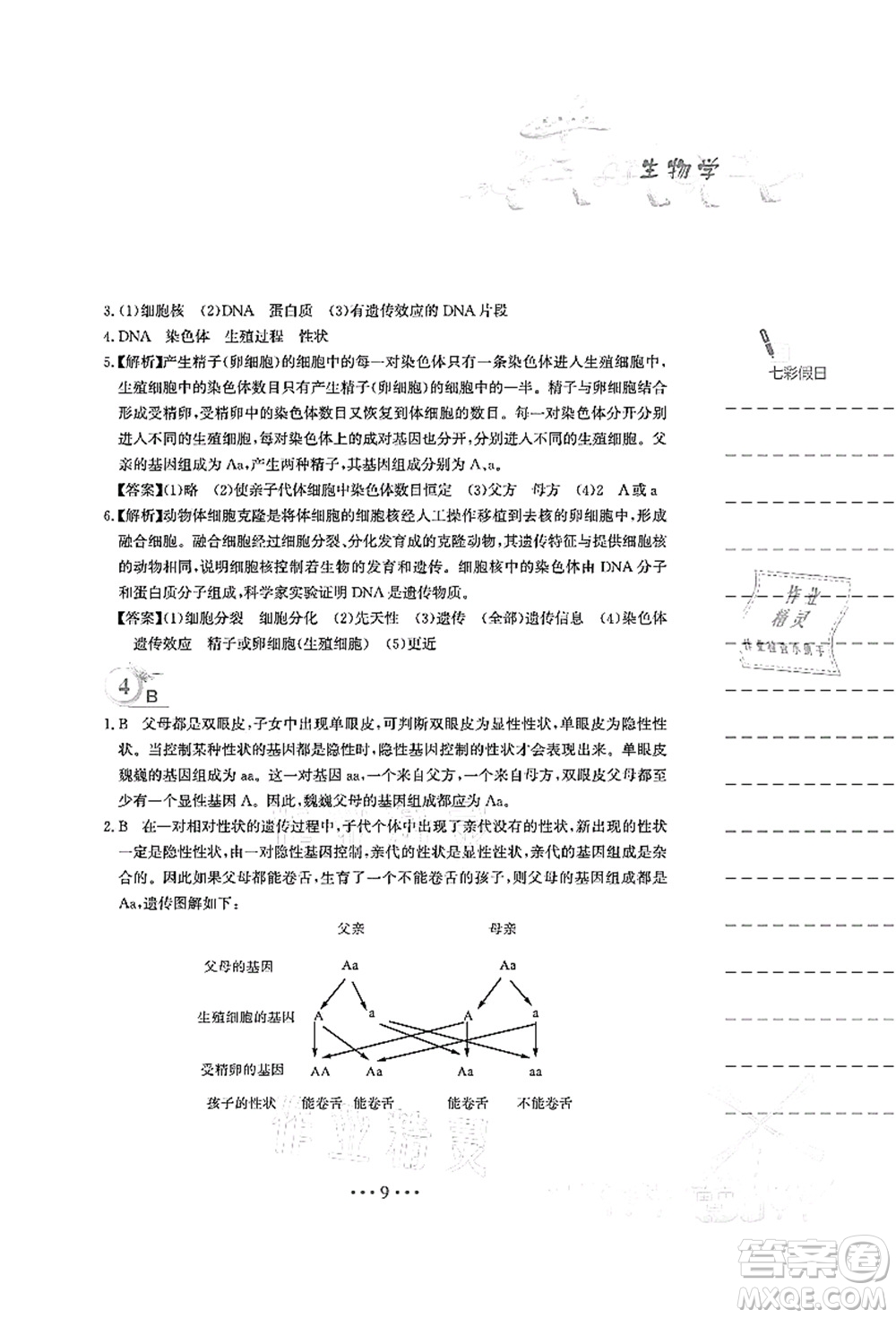 安徽教育出版社2021暑假作業(yè)八年級(jí)生物人教版答案