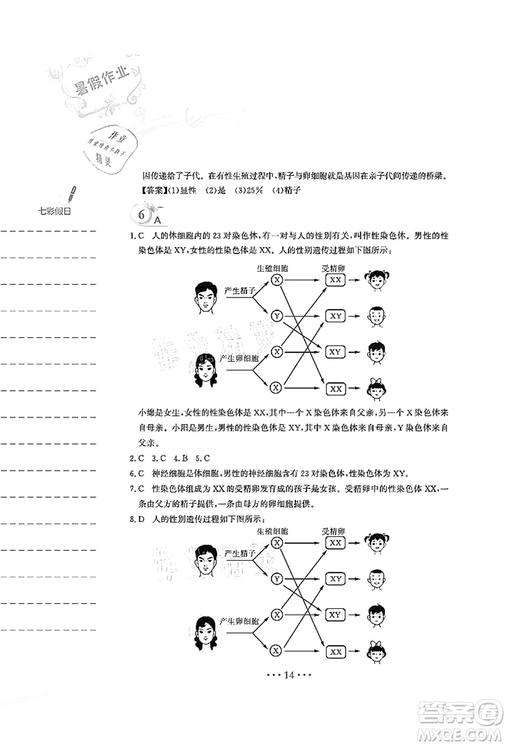 安徽教育出版社2021暑假作業(yè)八年級(jí)生物人教版答案