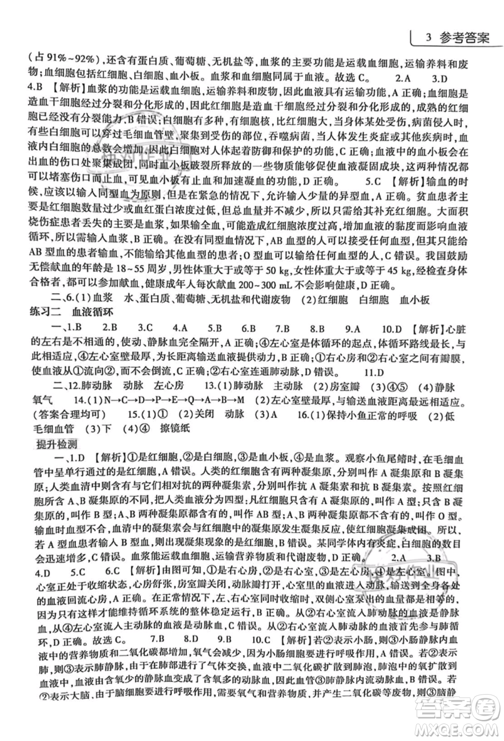大象出版社2021生物學(xué)暑假作業(yè)本七年級北師大版參考答案