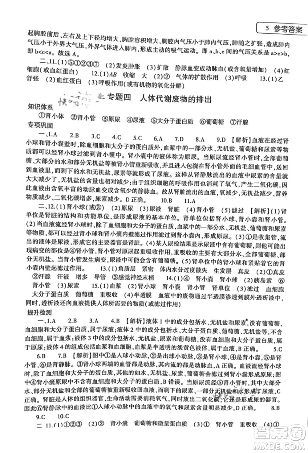 大象出版社2021生物學(xué)暑假作業(yè)本七年級北師大版參考答案