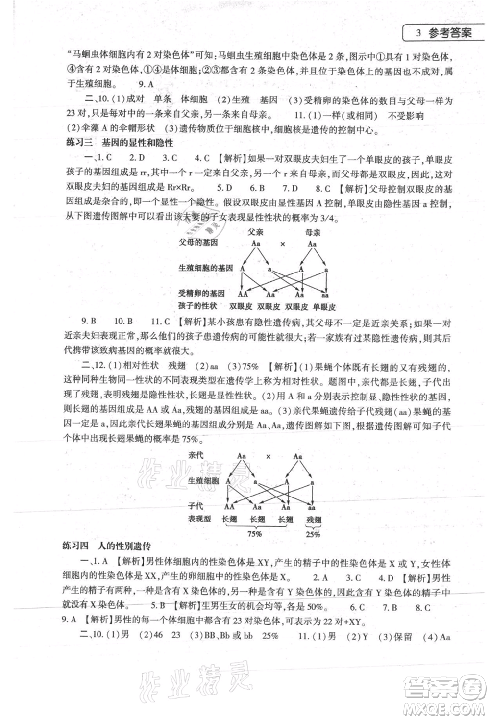 大象出版社2021生物學(xué)暑假作業(yè)本八年級(jí)人教版參考答案