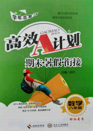 海南出版社2021高效A計(jì)劃期末暑假銜接數(shù)學(xué)八年級(jí)邵陽專版答案