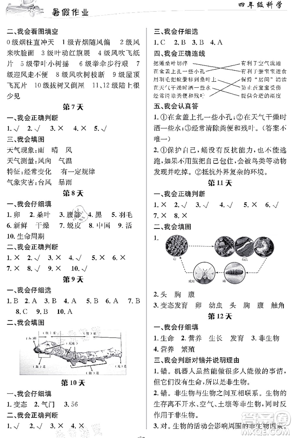 長江出版社2021暑假作業(yè)四年級科學(xué)人教版答案