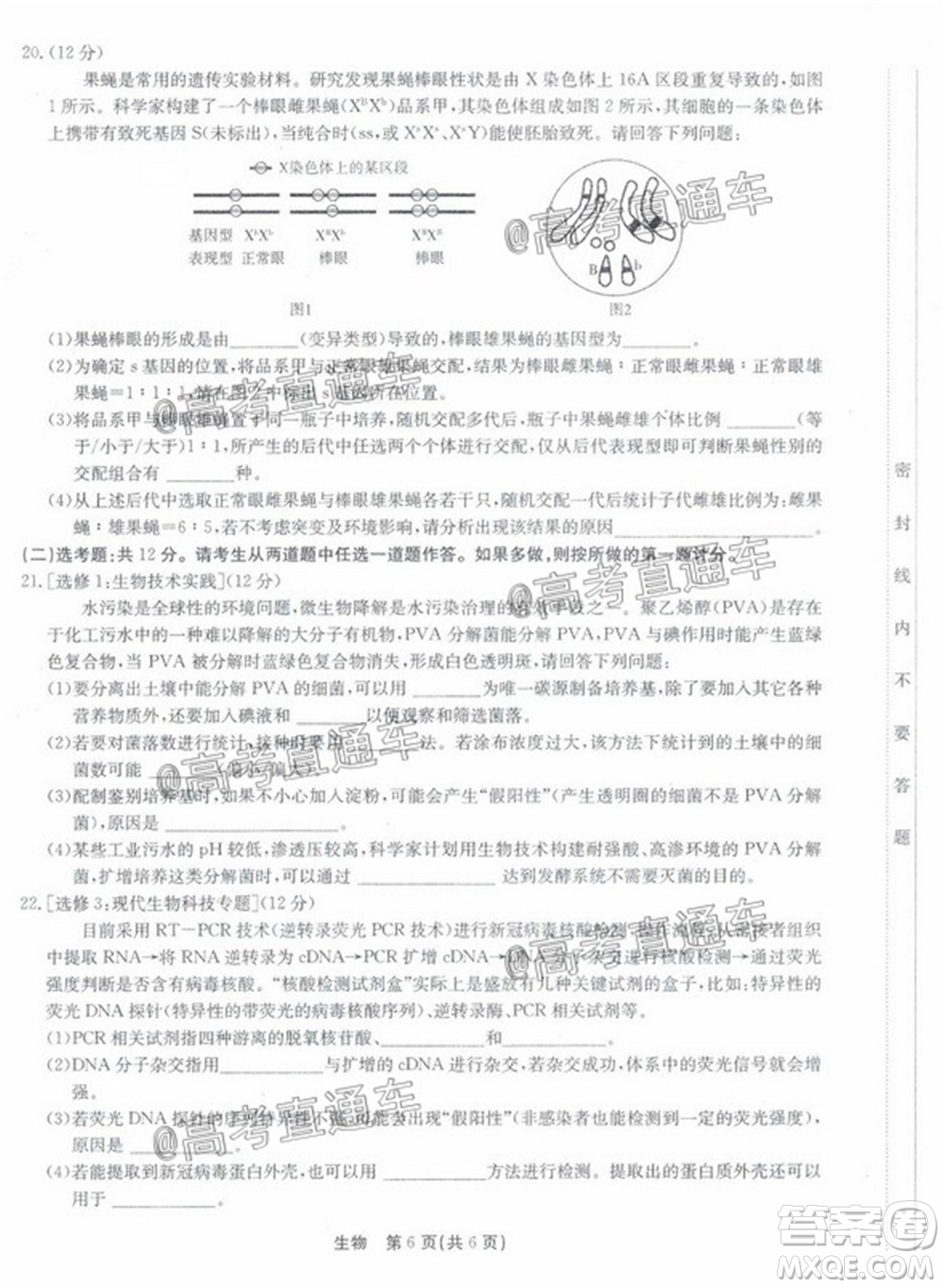 廣東省2022屆高三8月階段性質(zhì)量檢測(cè)生物試題及答案