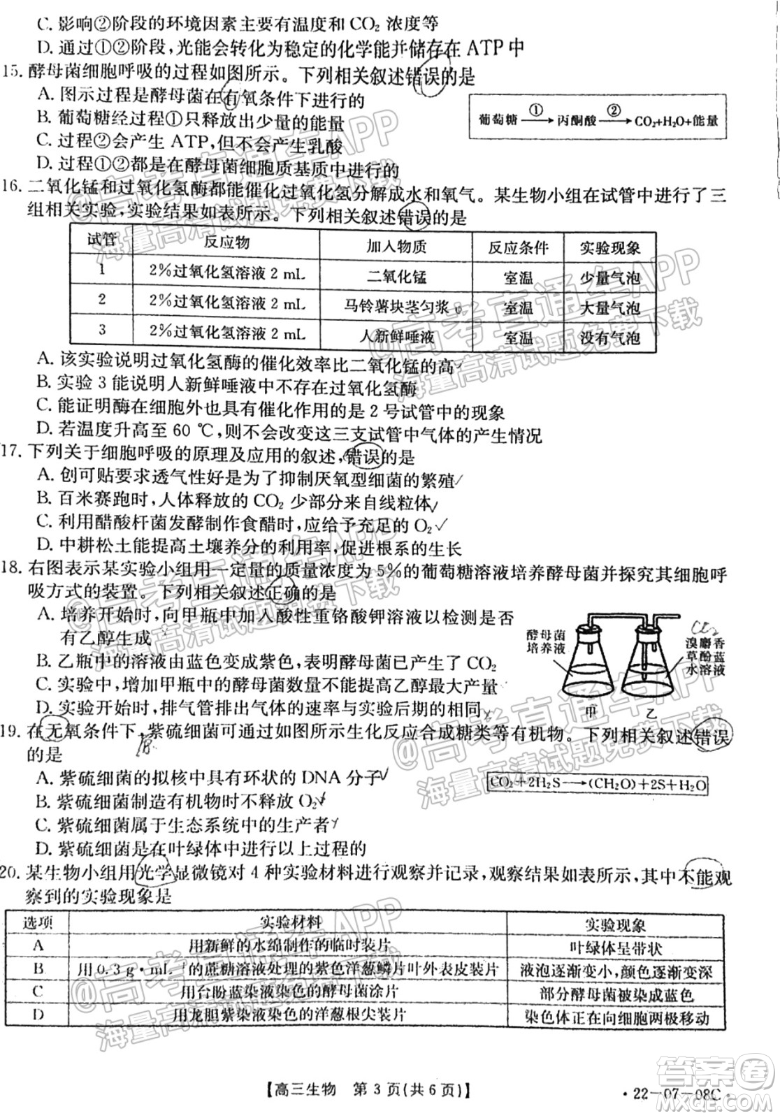 2022屆貴州金太陽聯(lián)考高三生物試題及答案