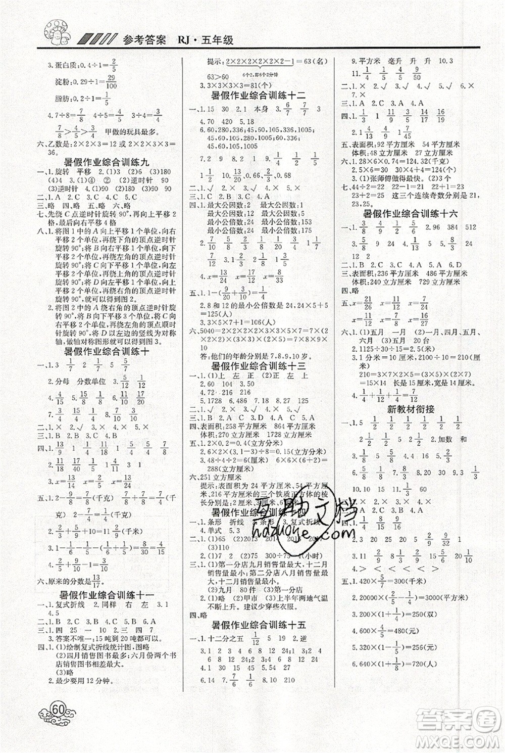 延邊教育出版社2021年度總復(fù)習快樂假期5升6數(shù)學RJ人教版答案