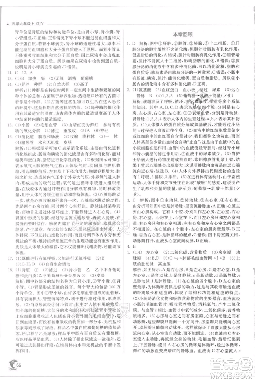 江蘇人民出版社2021實驗班提優(yōu)訓練九年級上冊科學浙教版參考答案