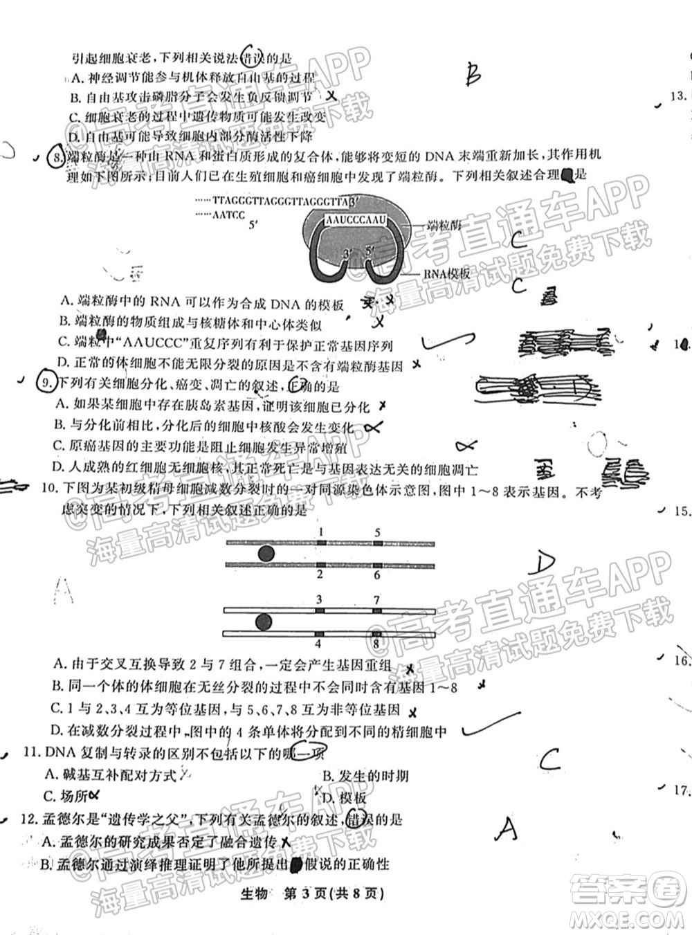 2022屆高三年級(jí)江西智學(xué)聯(lián)盟體第一次聯(lián)考生物試卷及答案