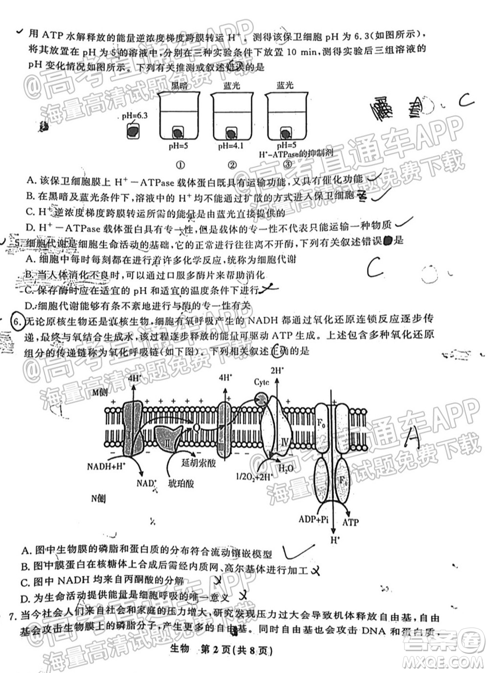 2022屆高三年級(jí)江西智學(xué)聯(lián)盟體第一次聯(lián)考生物試卷及答案