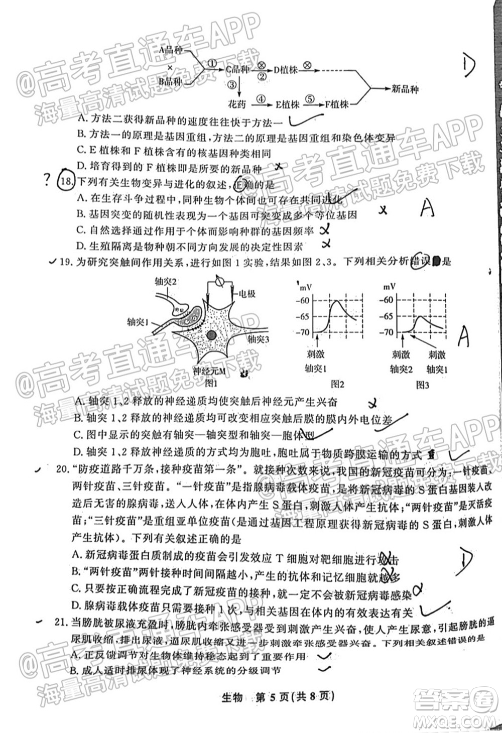 2022屆高三年級(jí)江西智學(xué)聯(lián)盟體第一次聯(lián)考生物試卷及答案