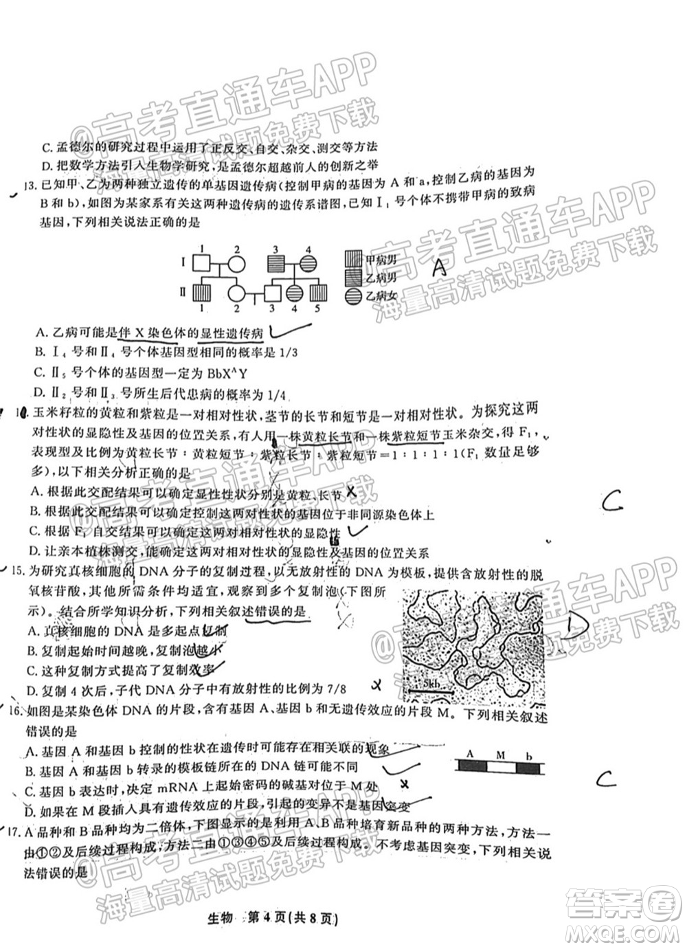 2022屆高三年級(jí)江西智學(xué)聯(lián)盟體第一次聯(lián)考生物試卷及答案