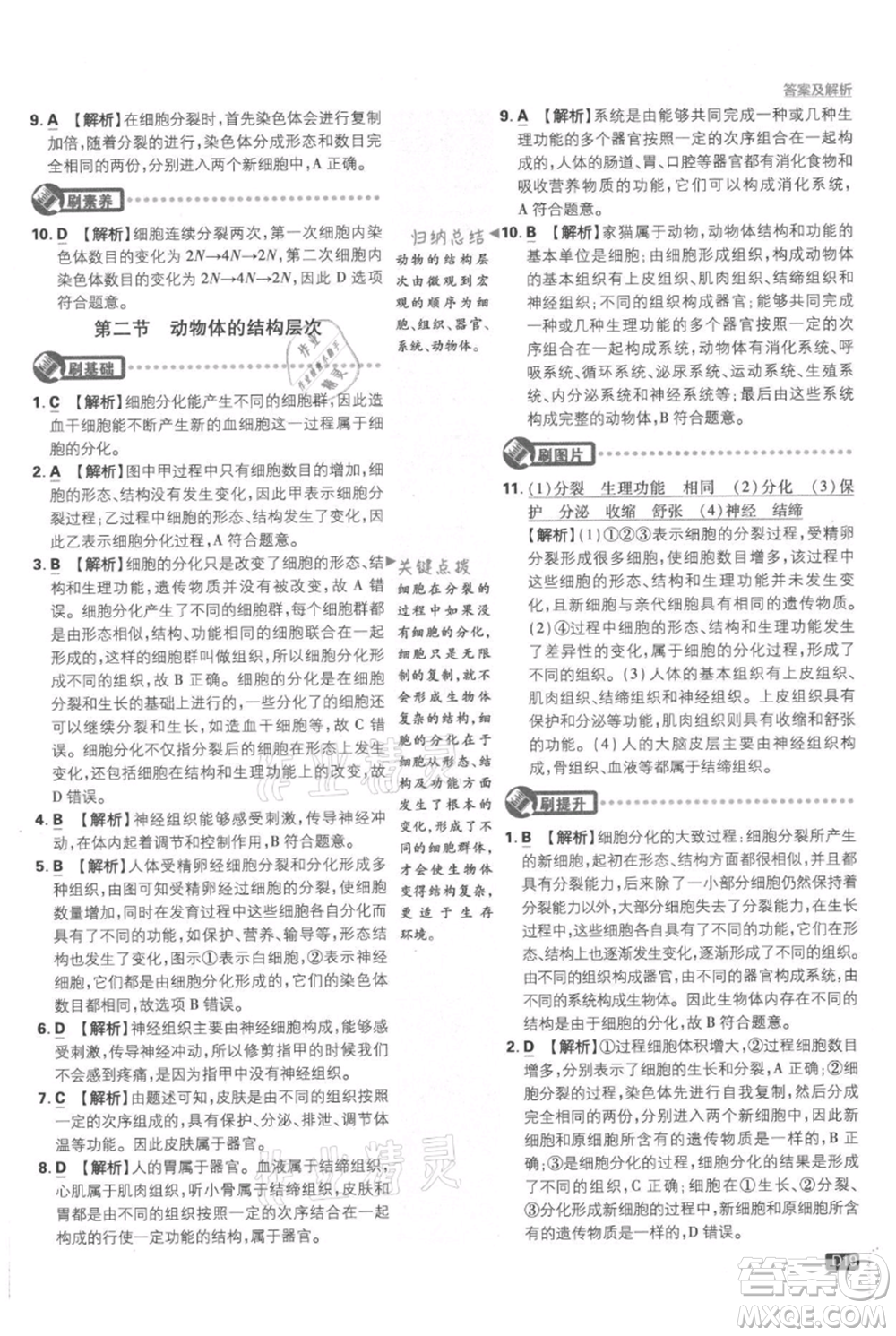 開(kāi)明出版社2021初中必刷題七年級(jí)上冊(cè)生物人教版參考答案