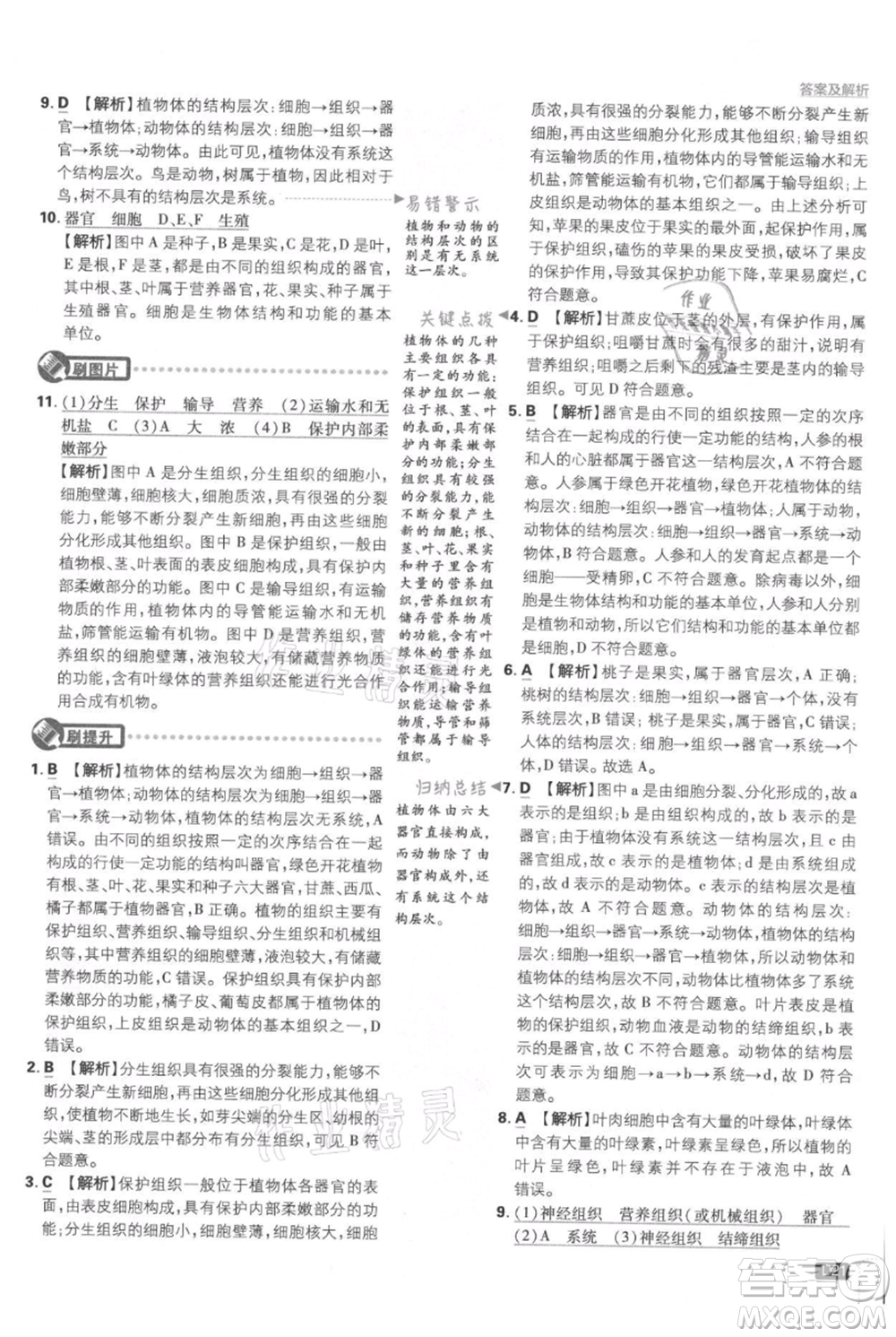 開(kāi)明出版社2021初中必刷題七年級(jí)上冊(cè)生物人教版參考答案