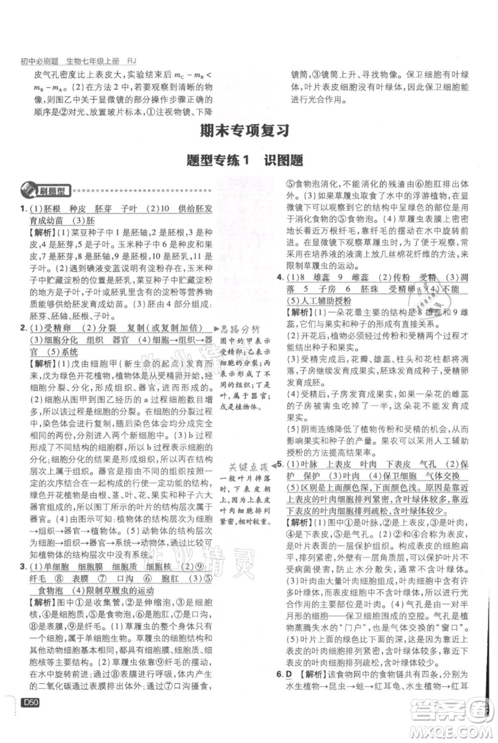 開(kāi)明出版社2021初中必刷題七年級(jí)上冊(cè)生物人教版參考答案