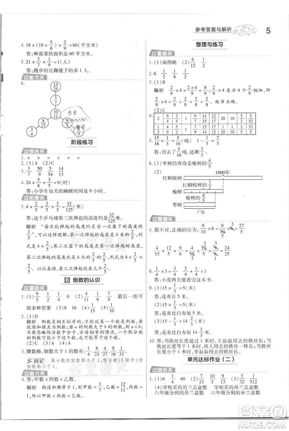 南京師范大學(xué)出版社2021一遍過(guò)六年級(jí)上冊(cè)數(shù)學(xué)蘇教版參考答案