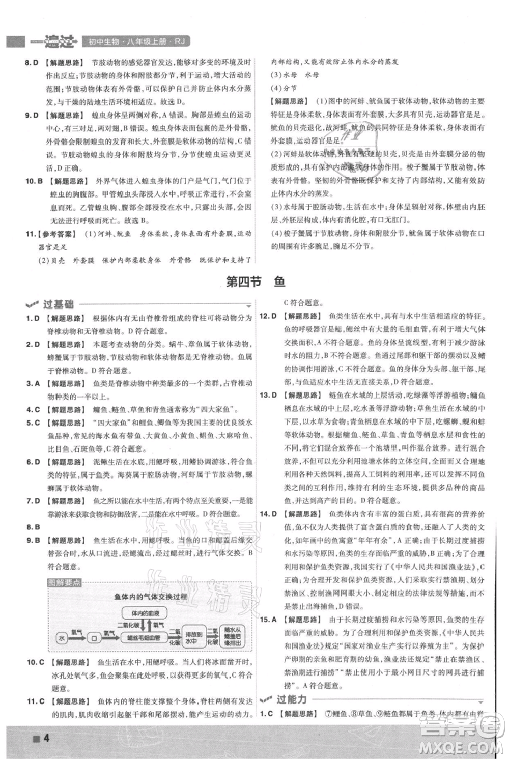 南京師范大學(xué)出版社2021一遍過(guò)八年級(jí)上冊(cè)生物人教版參考答案