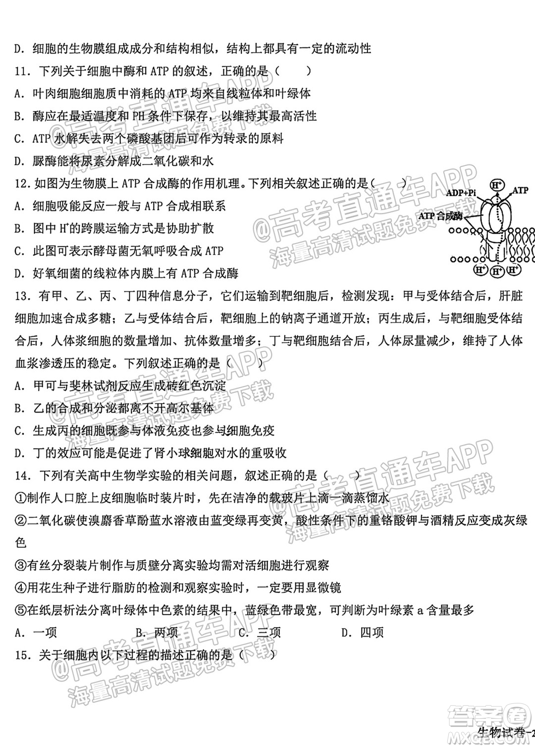 哈爾濱市第九中學校2021-2022學年度上學期適應(yīng)性考試高三生物試題答案