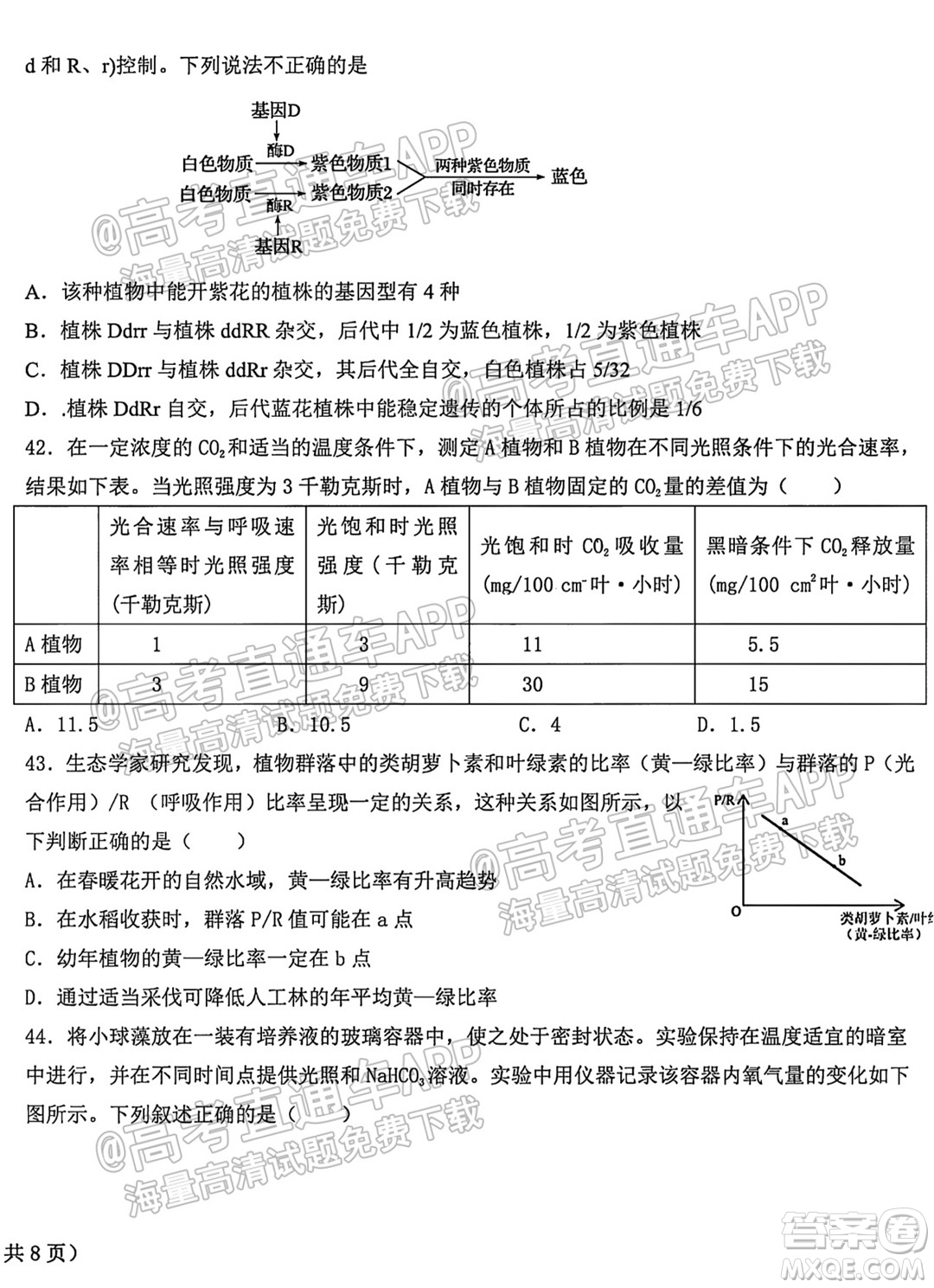 哈爾濱市第九中學校2021-2022學年度上學期適應(yīng)性考試高三生物試題答案