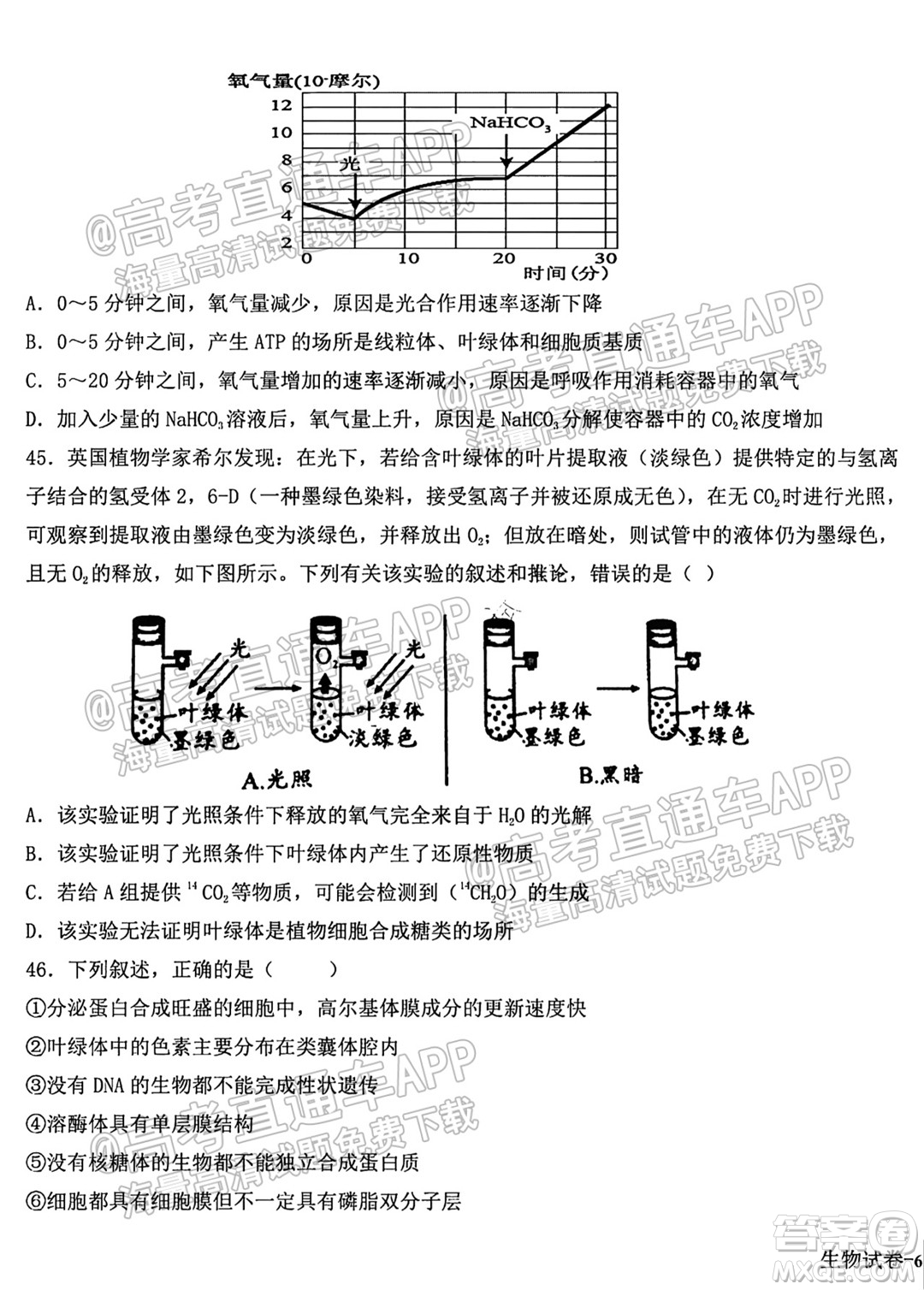 哈爾濱市第九中學校2021-2022學年度上學期適應(yīng)性考試高三生物試題答案