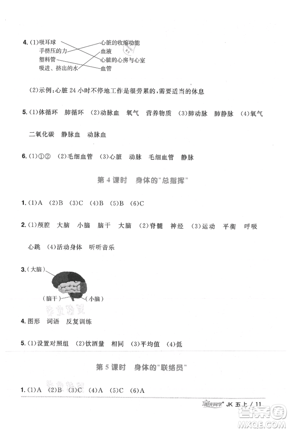 江西教育出版社2021陽(yáng)光同學(xué)課時(shí)優(yōu)化作業(yè)五年級(jí)上冊(cè)科學(xué)教科版參考答案