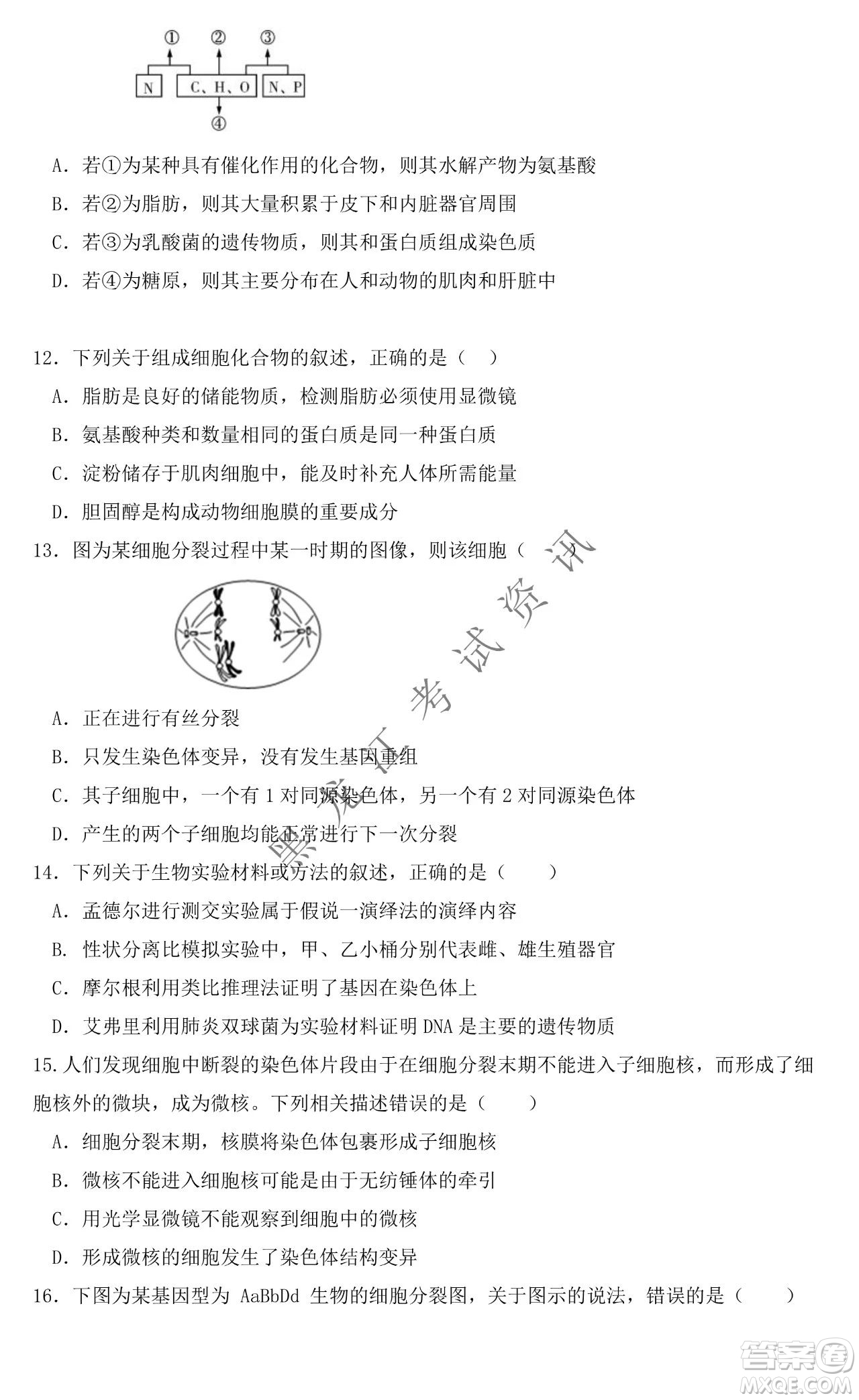大慶市鐵人中學(xué)2019級(jí)高三上學(xué)期開學(xué)考試生物試題及答案