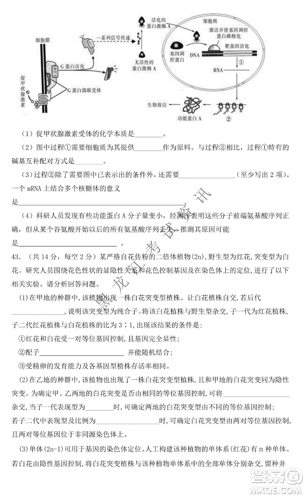 大慶市鐵人中學(xué)2019級(jí)高三上學(xué)期開學(xué)考試生物試題及答案