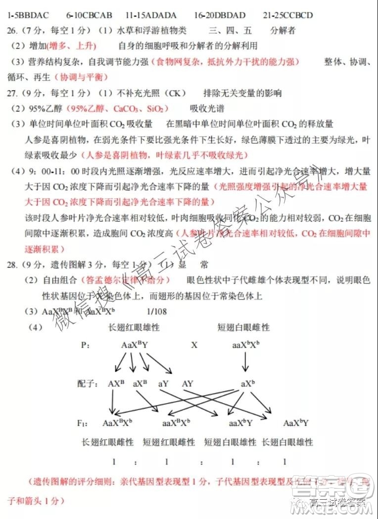 2021學(xué)年第一學(xué)期浙江省七彩陽光新高考研究聯(lián)盟返?？忌镌囶}及答案