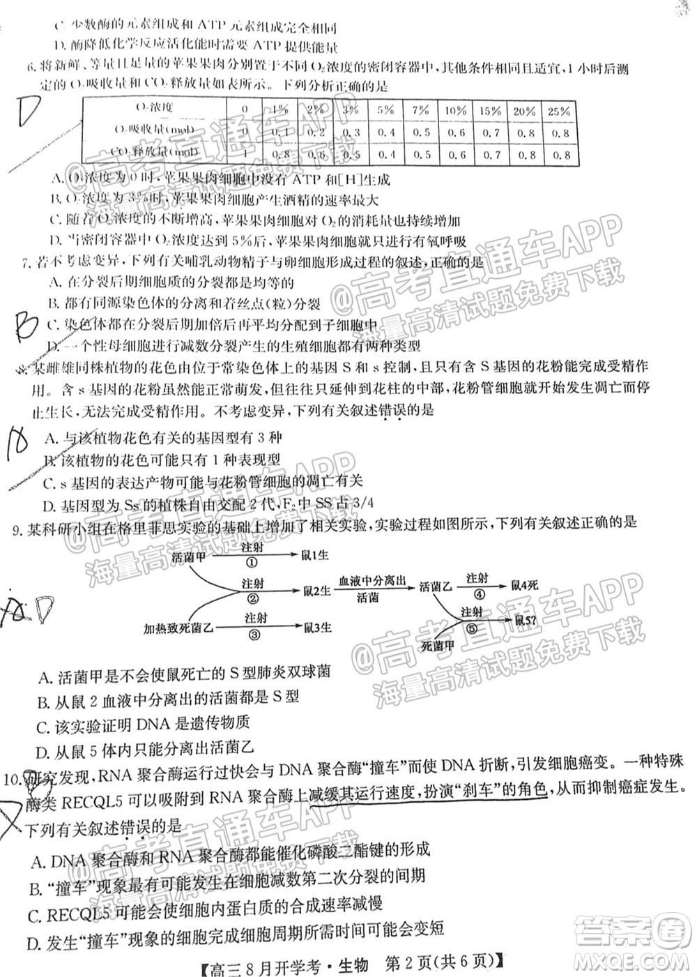2022屆九師聯(lián)盟高三9月開學考生物試題及答案