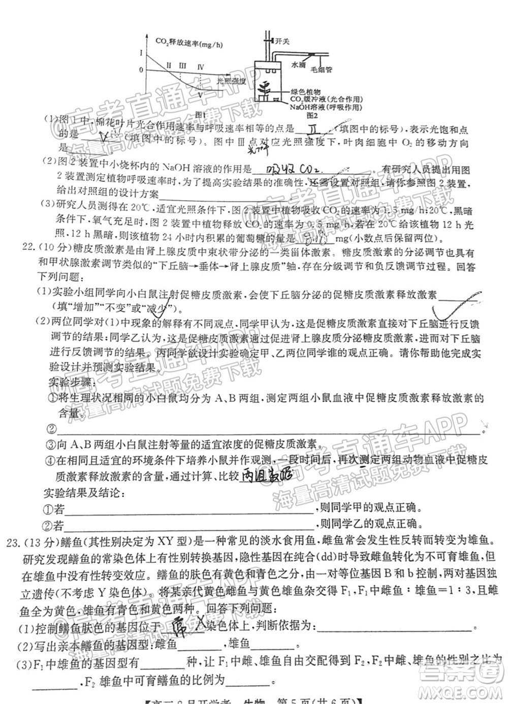 2022屆九師聯(lián)盟高三9月開學考生物試題及答案