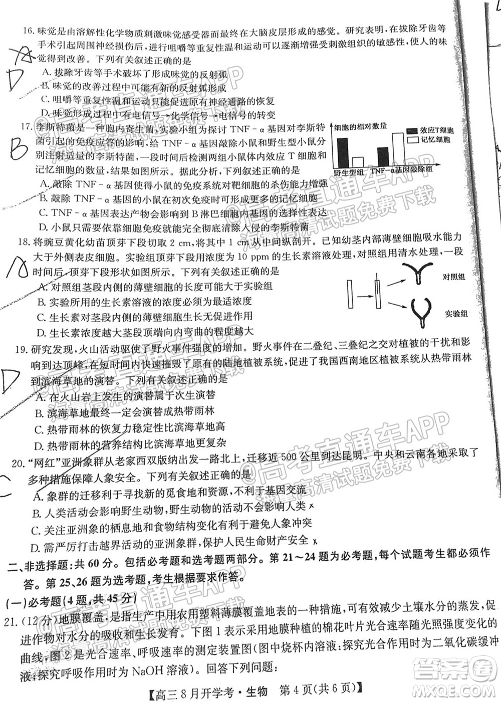 2022屆九師聯(lián)盟高三9月開學考生物試題及答案