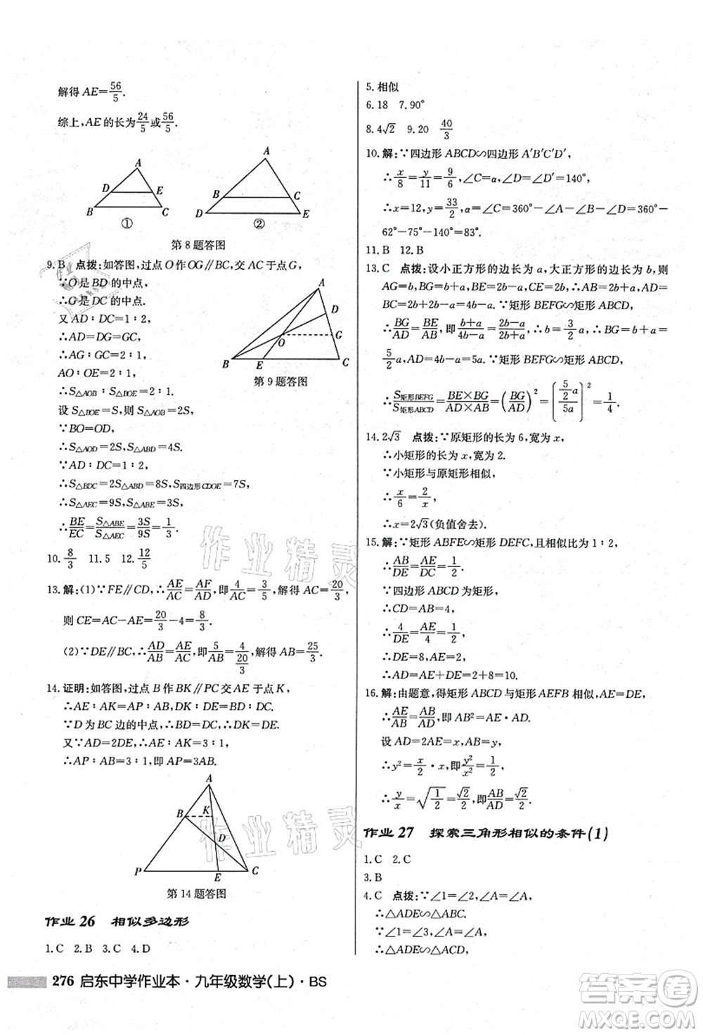 龍門書局2021啟東中學(xué)作業(yè)本九年級(jí)數(shù)學(xué)上冊(cè)BS北師版答案