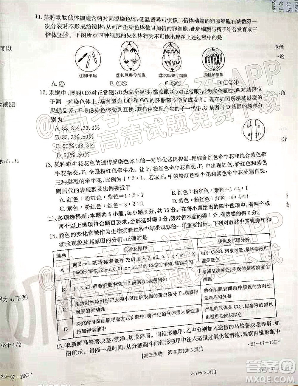 2022屆河北省金太陽9月聯(lián)考新高三第一次考試生物試題及答案