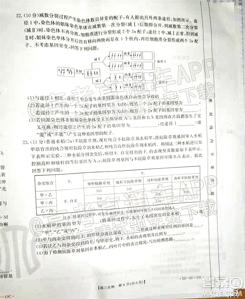 2022屆河北省金太陽9月聯(lián)考新高三第一次考試生物試題及答案