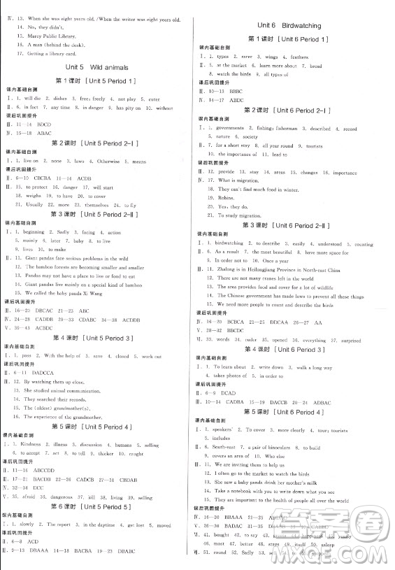陽光出版社2021全品學練考英語八年級上冊YLNJ譯林牛津版徐州專版答案
