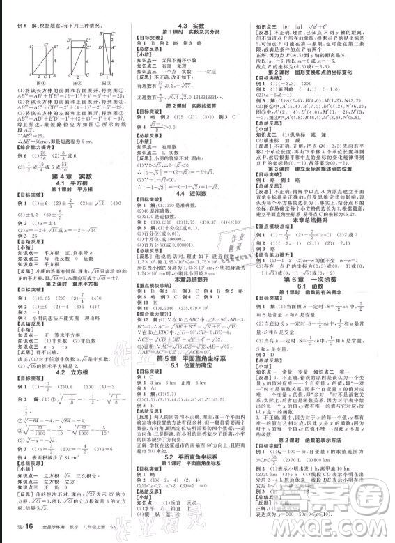陽光出版社2021全品學練考數(shù)學八年級上冊SK蘇科版徐州專版答案
