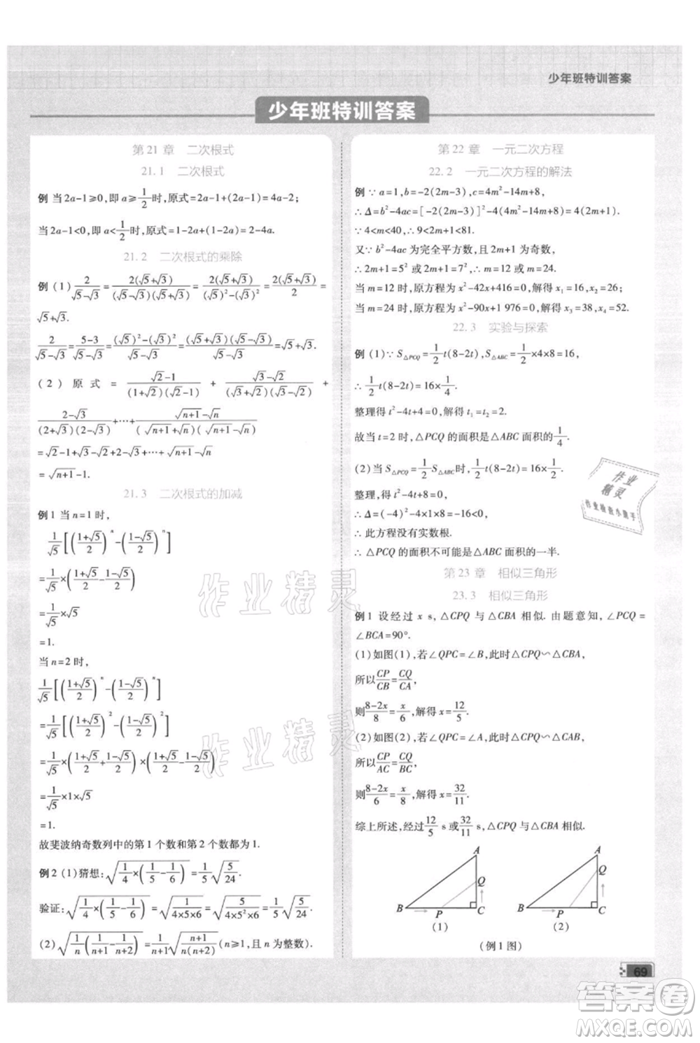 開明出版社2021少年班初中數(shù)學九年級上冊華師大版參考答案