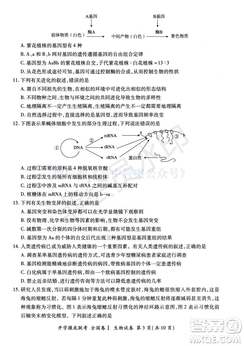百師聯盟2022屆高三開學摸底聯考全國卷生物試卷及答案