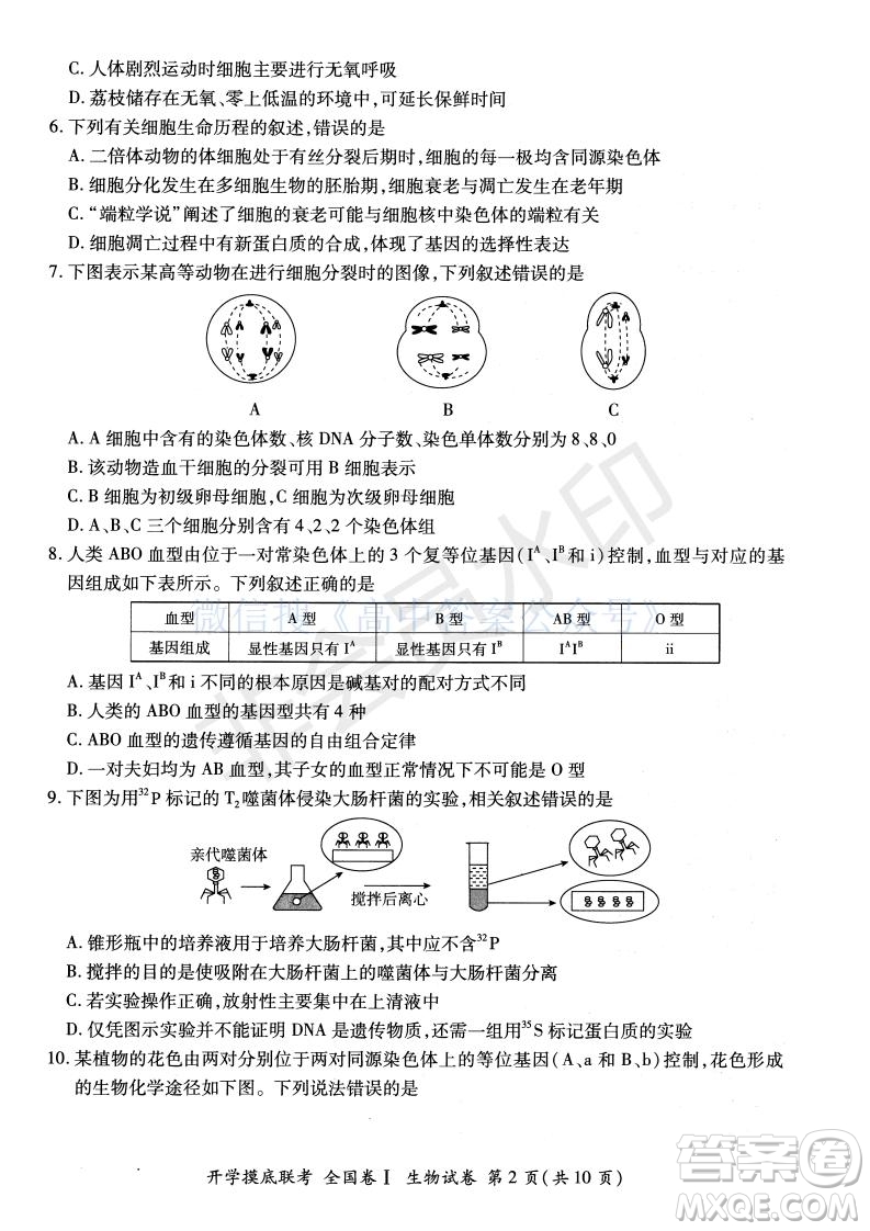 百師聯盟2022屆高三開學摸底聯考全國卷生物試卷及答案