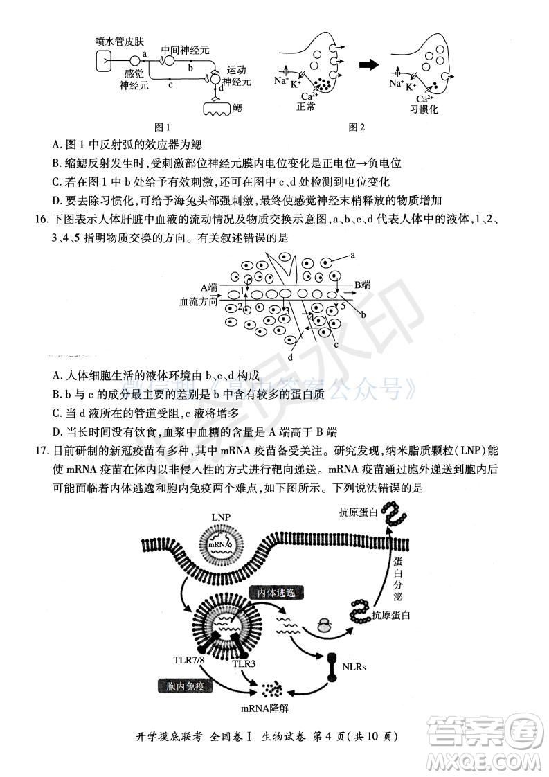 百師聯盟2022屆高三開學摸底聯考全國卷生物試卷及答案