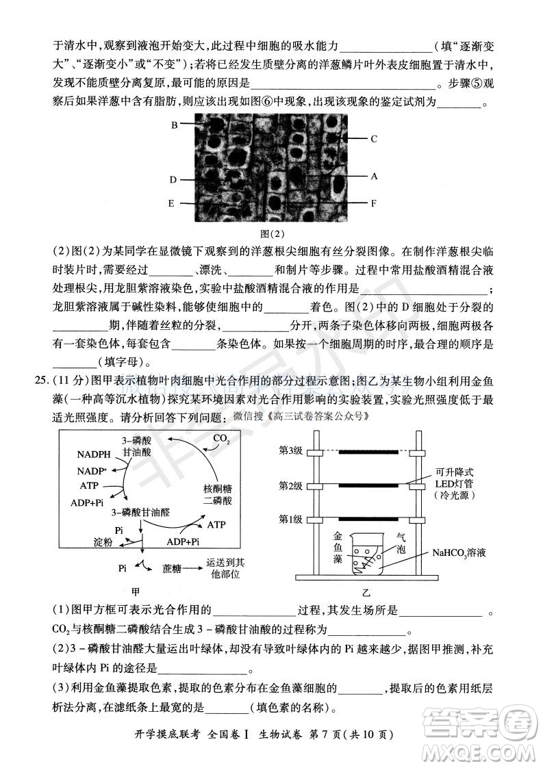 百師聯盟2022屆高三開學摸底聯考全國卷生物試卷及答案