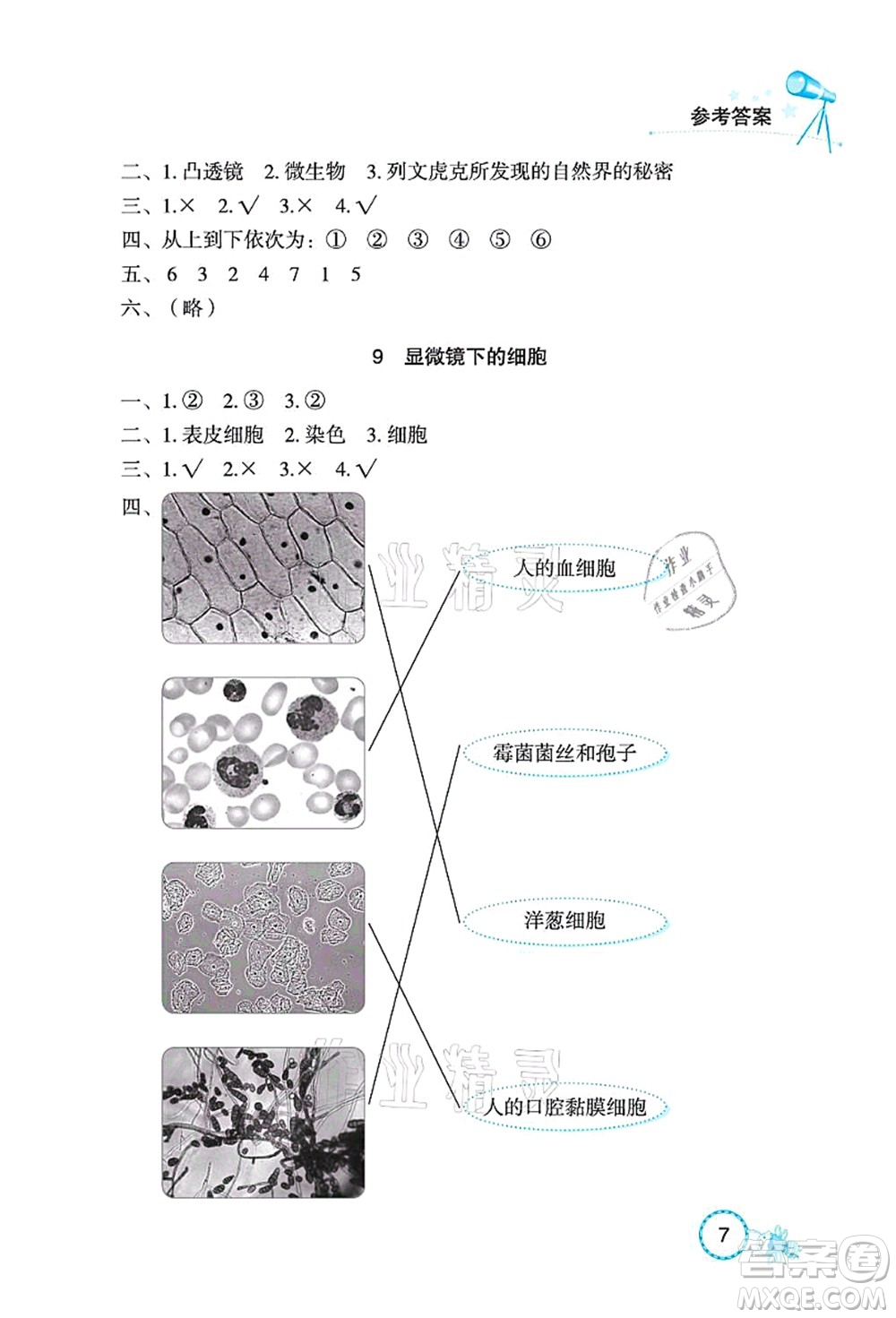 湖北教育出版社2021長江作業(yè)本課堂作業(yè)五年級科學上冊人教鄂教版答案