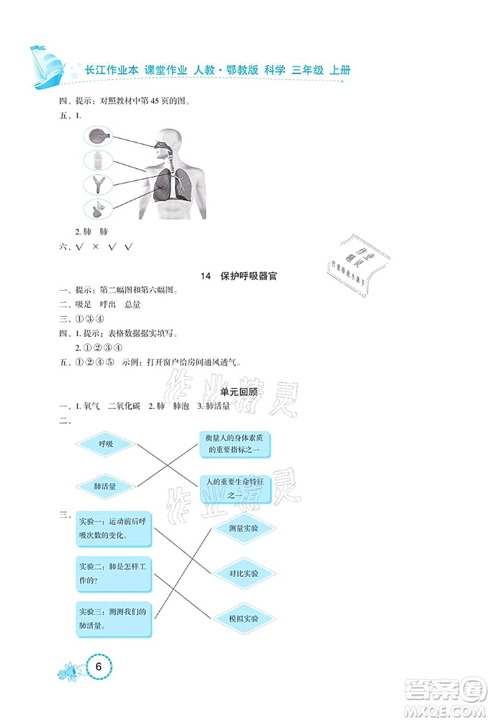 湖北教育出版社2021長江作業(yè)本課堂作業(yè)三年級科學上冊人教鄂教版答案